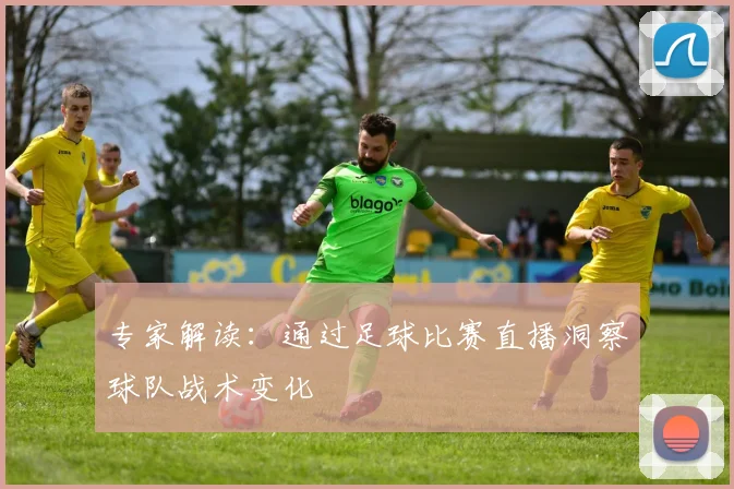 专家解读:通过足球比赛直播洞察球队战术变化