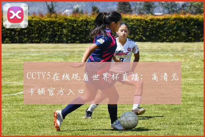 CCTV5在线观看世界杯直播：高清无卡顿官方入口