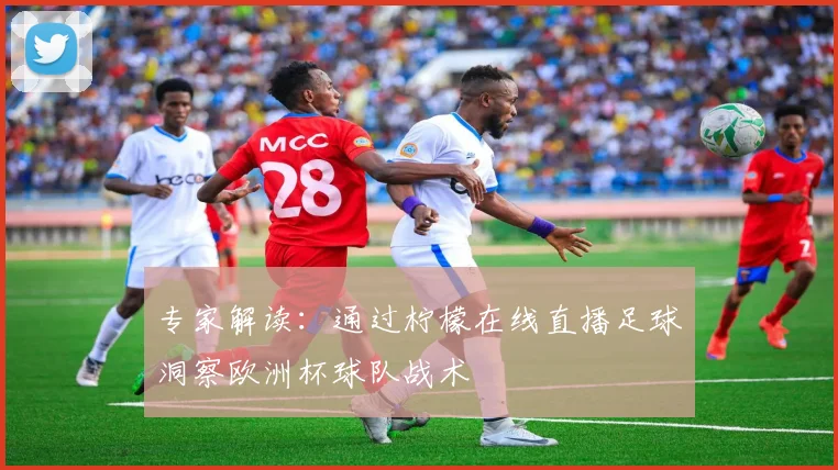 专家解读:通过柠檬在线直播足球洞察欧洲杯球队战术