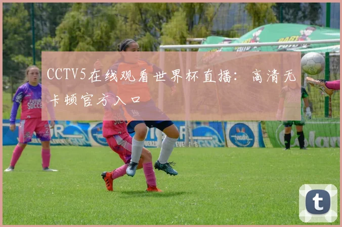 CCTV5在线观看世界杯直播：高清无卡顿官方入口