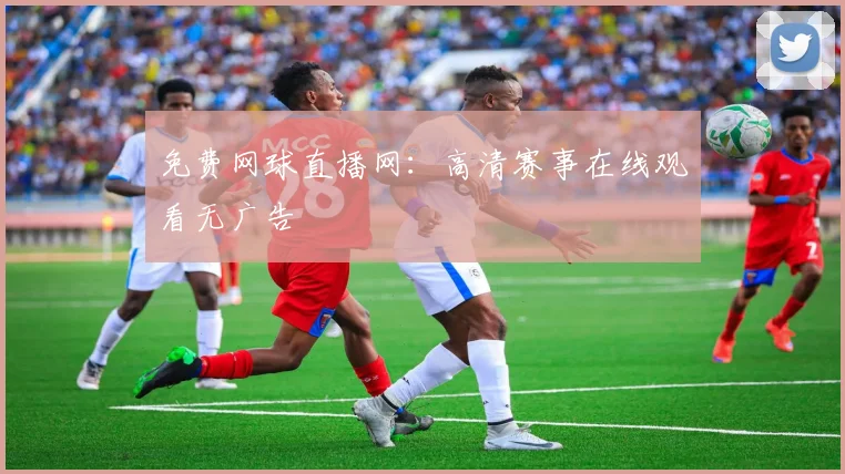 免费网球直播网：高清赛事在线观看无广告