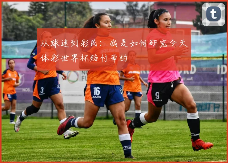 从球迷到彩民：我是如何研究今天体彩世界杯赔付率的