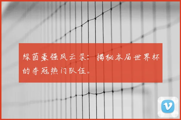 绿茵豪强风云录：揭秘本届世界杯的夺冠热门队伍。