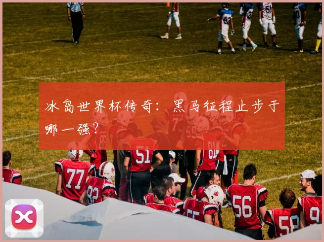 冰岛世界杯传奇：黑马征程止步于哪一强？