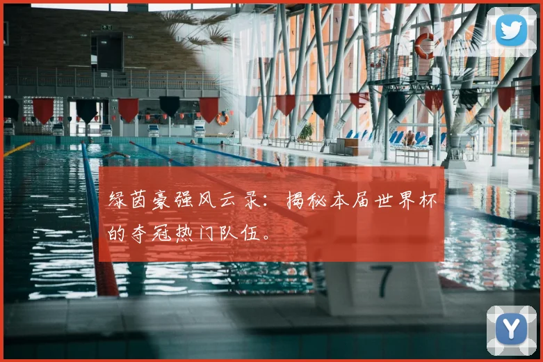 绿茵豪强风云录：揭秘本届世界杯的夺冠热门队伍。